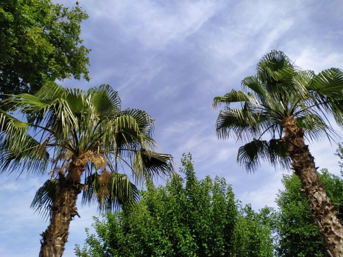 Olympos Yavuz Hotel Cirali Exterior photo