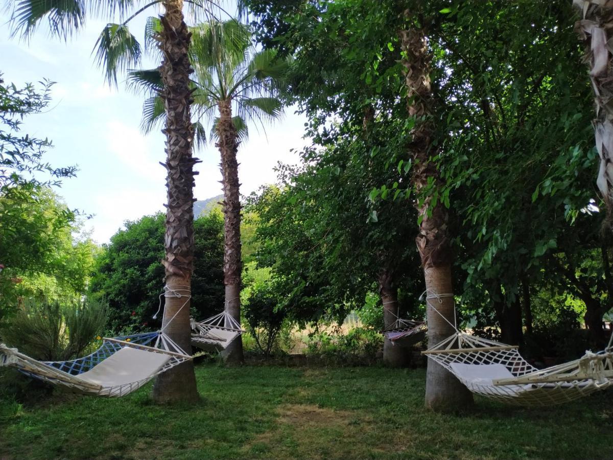 Olympos Yavuz Hotel Cirali Exterior photo
