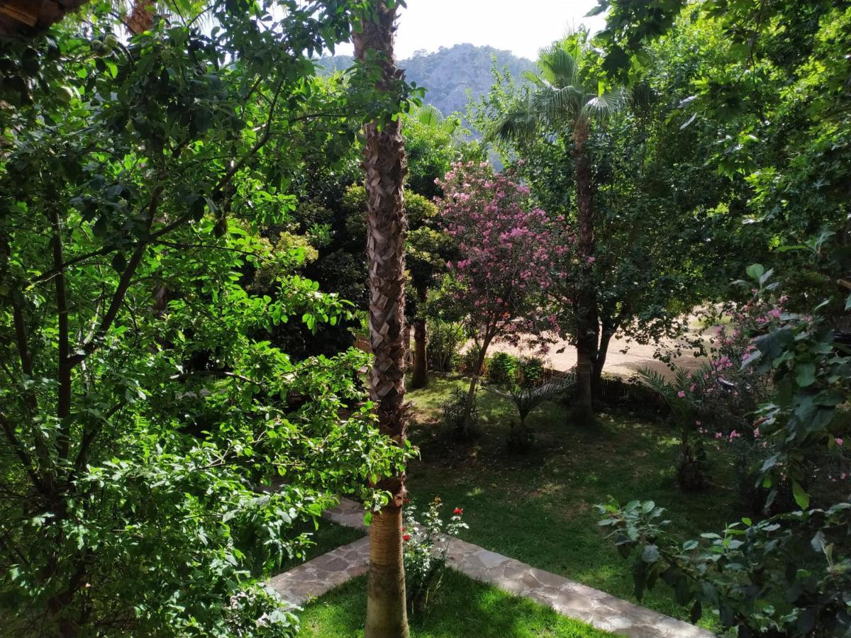 Olympos Yavuz Hotel Cirali Exterior photo