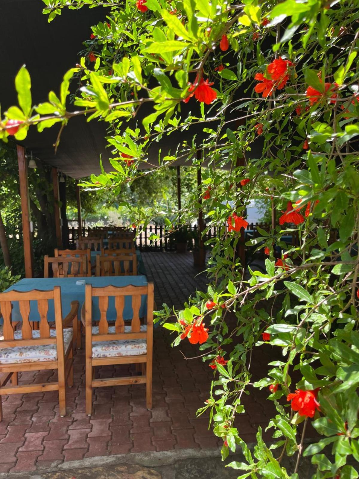 Olympos Yavuz Hotel Cirali Exterior photo