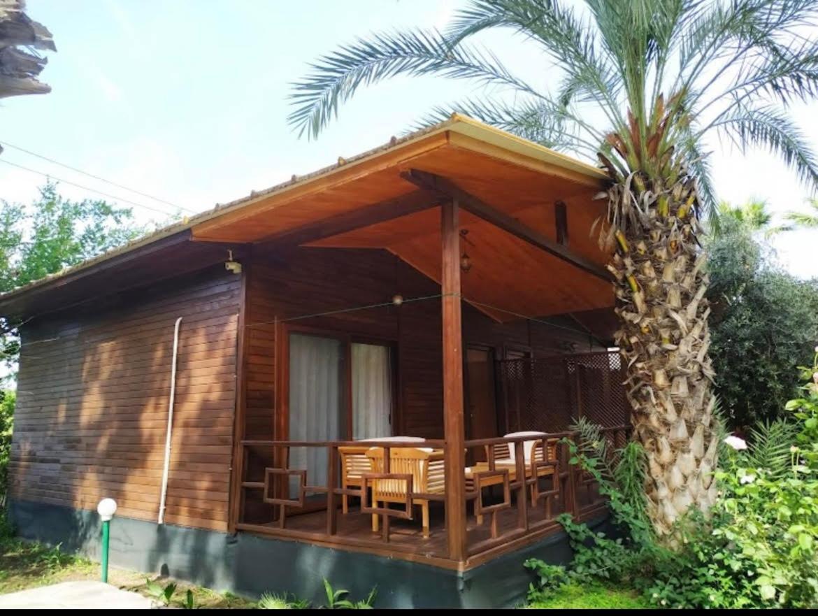 Olympos Yavuz Hotel Cirali Exterior photo